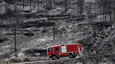 Prevención Riesgos Accidentes