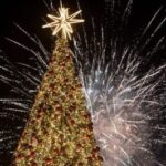 Prevención de Accidentes en Navidad [22/12/2024]