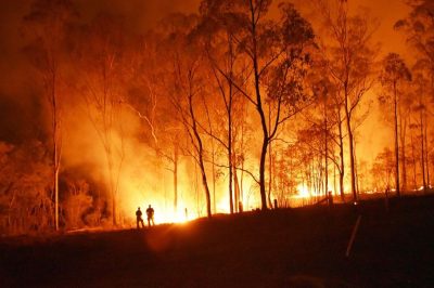 Consejos de autoprotección para incendios forestales