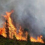 Muertes en los incendios forestales [29/09/2025]