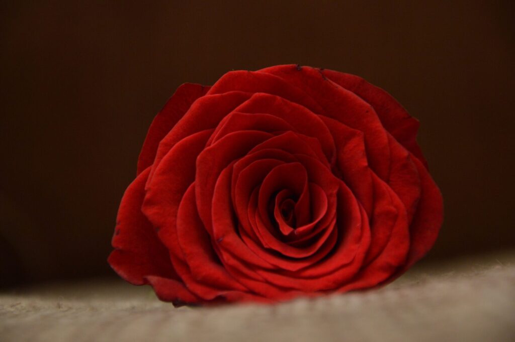 Imagen pasion-1
